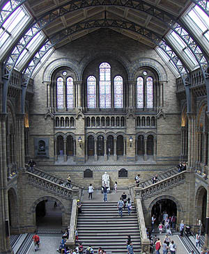 Natural History Museum London - Travel England